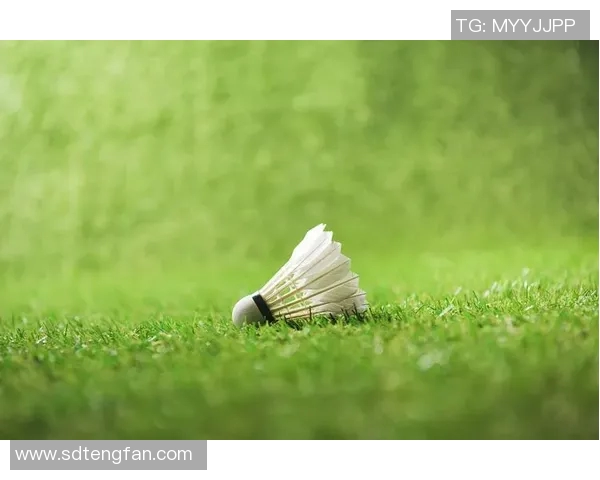 足球场上的音乐家那些足球明星也会演奏乐器的惊人才能